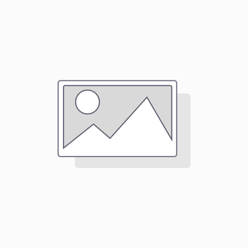 GetMSMEDetail
